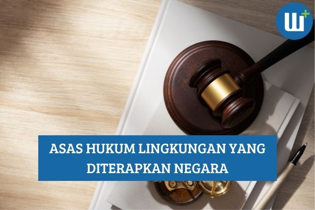 Beberapa Asas Hukum Lingkungan yang Diterapkan Negara